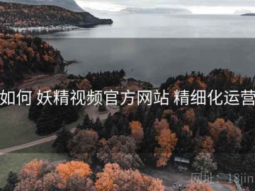如何 妖精视频官方网站 精细化运营