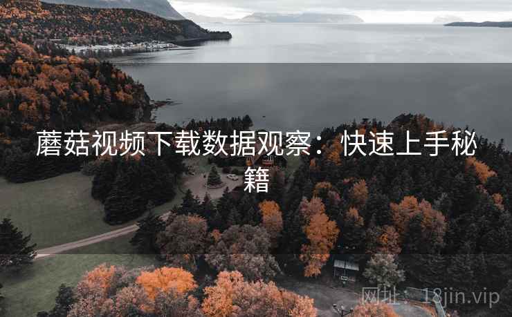 蘑菇视频下载数据观察：快速上手秘籍