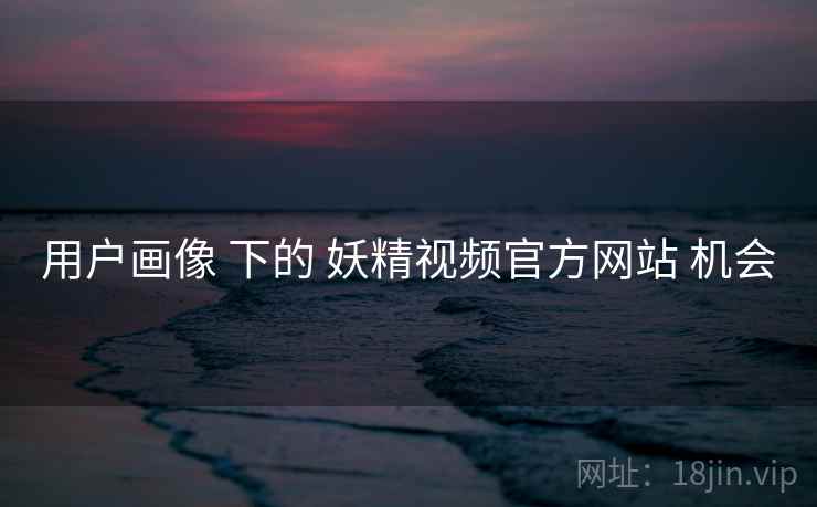用户画像 下的 妖精视频官方网站 机会