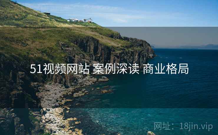 51视频网站 案例深读 商业格局
