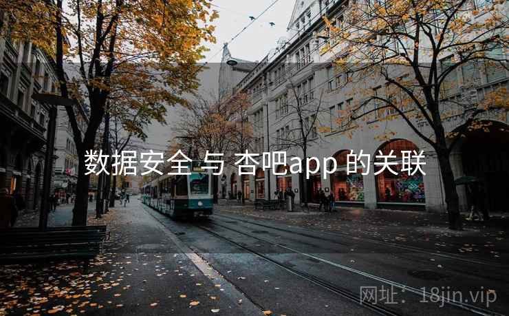 数据安全 与 杏吧app 的关联
