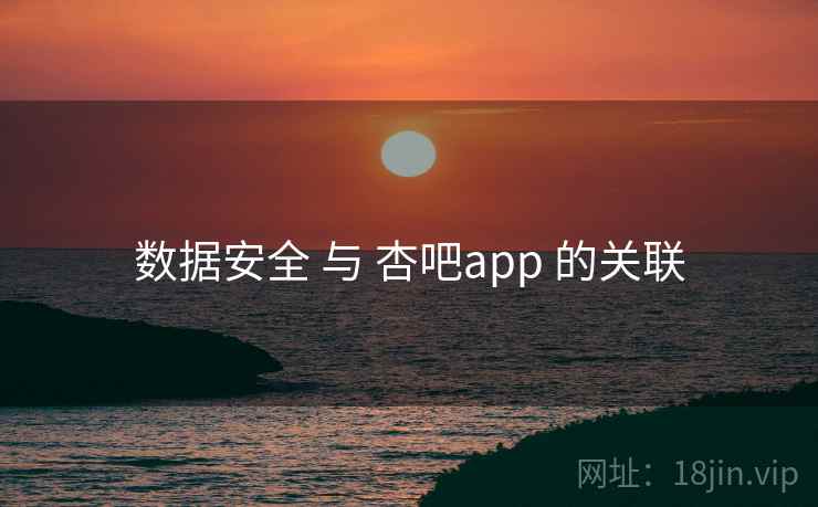 数据安全 与 杏吧app 的关联