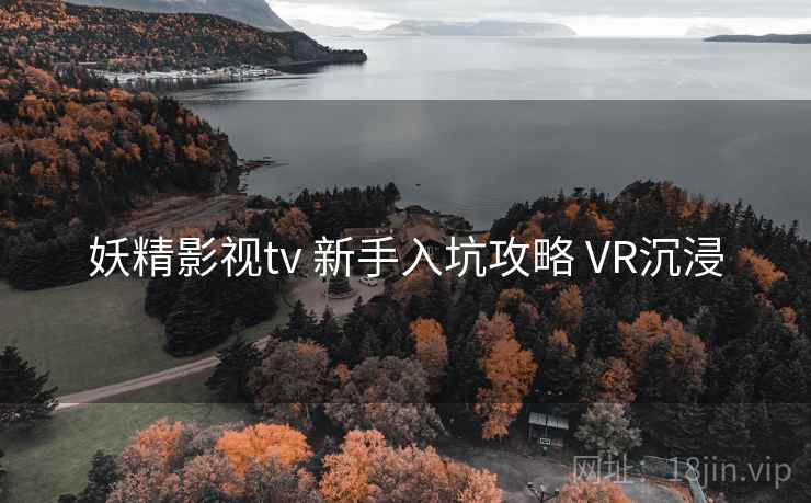 妖精影视tv 新手入坑攻略 VR沉浸