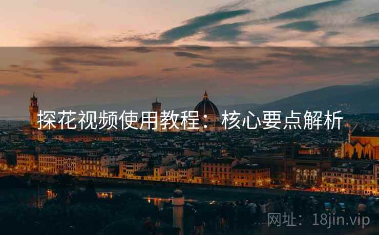 探花视频使用教程：核心要点解析