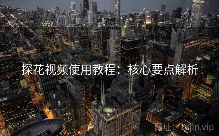 探花视频使用教程：核心要点解析