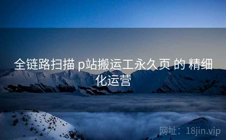 全链路扫描 p站搬运工永久页 的 精细化运营
