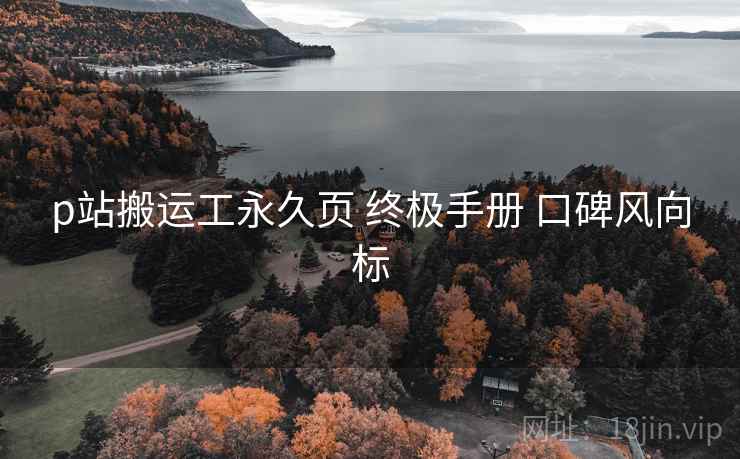 p站搬运工永久页 终极手册 口碑风向标