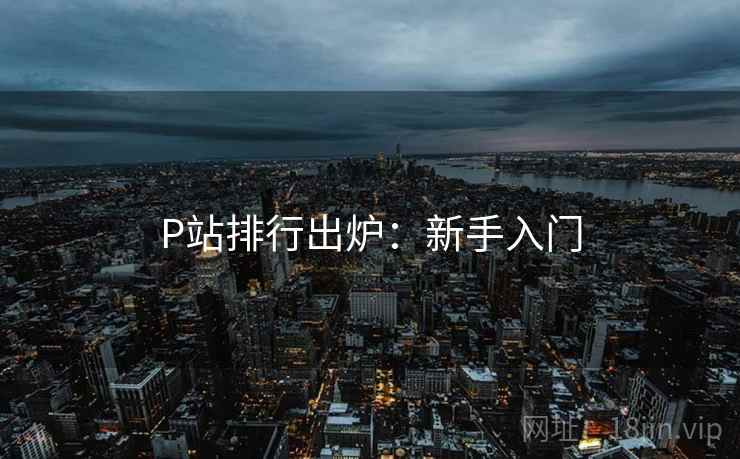 P站排行出炉：新手入门