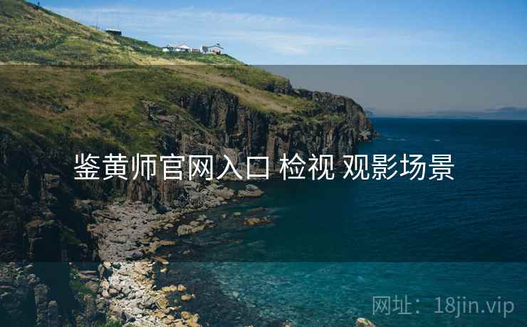 鉴黄师官网入口 检视 观影场景