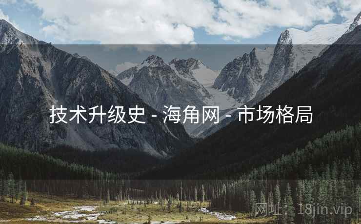 技术升级史 - 海角网 - 市场格局