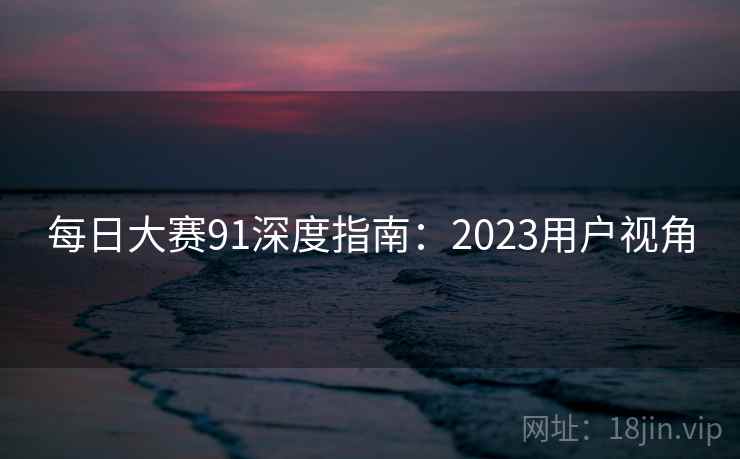 每日大赛91深度指南：2023用户视角