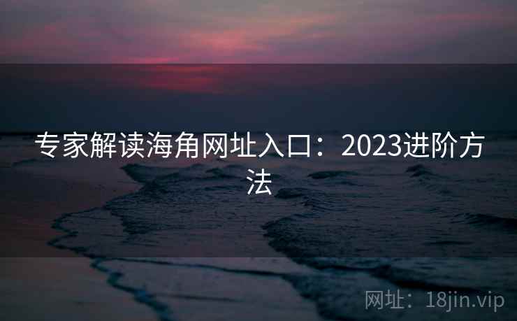 专家解读海角网址入口：2023进阶方法