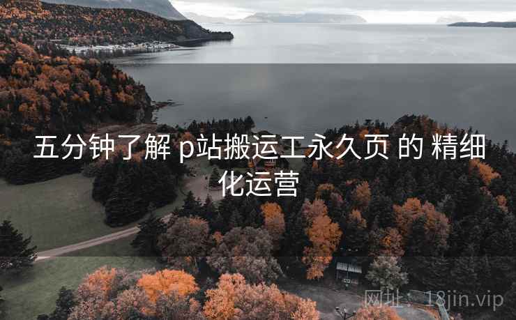 五分钟了解 p站搬运工永久页 的 精细化运营
