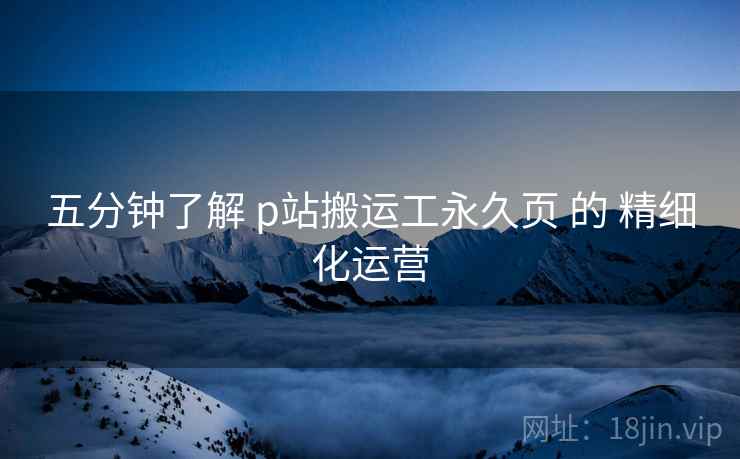 五分钟了解 p站搬运工永久页 的 精细化运营