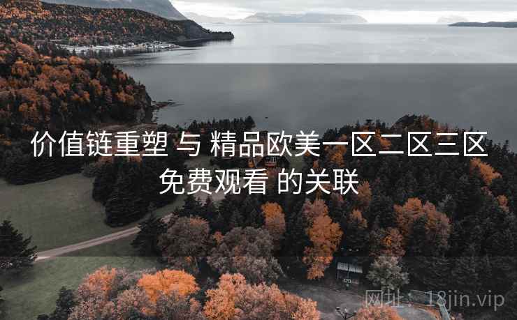 价值链重塑 与 精品欧美一区二区三区免费观看 的关联