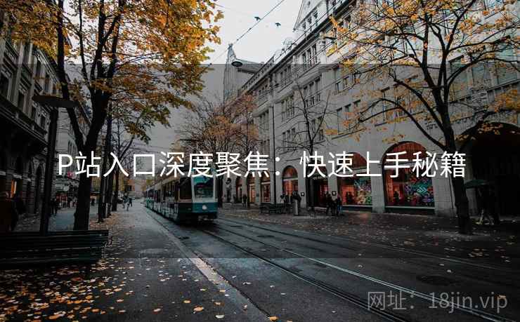 P站入口深度聚焦：快速上手秘籍
