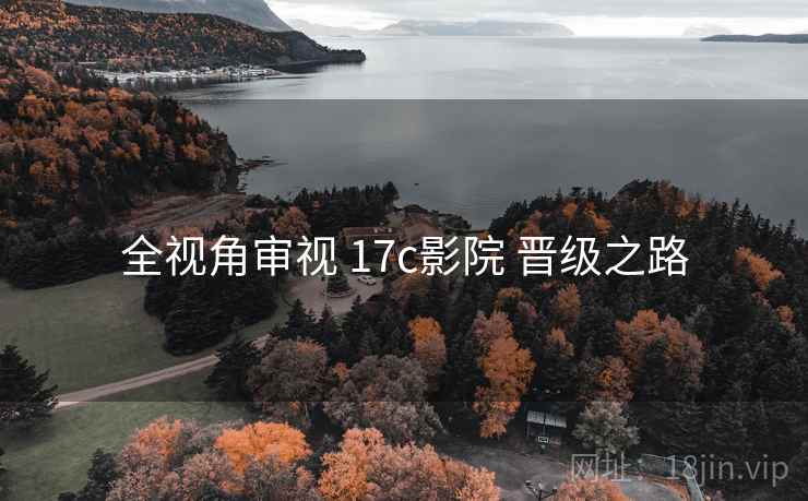 全视角审视 17c影院 晋级之路