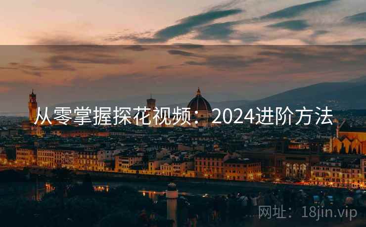 从零掌握探花视频：2024进阶方法