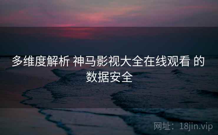 多维度解析 神马影视大全在线观看 的 数据安全
