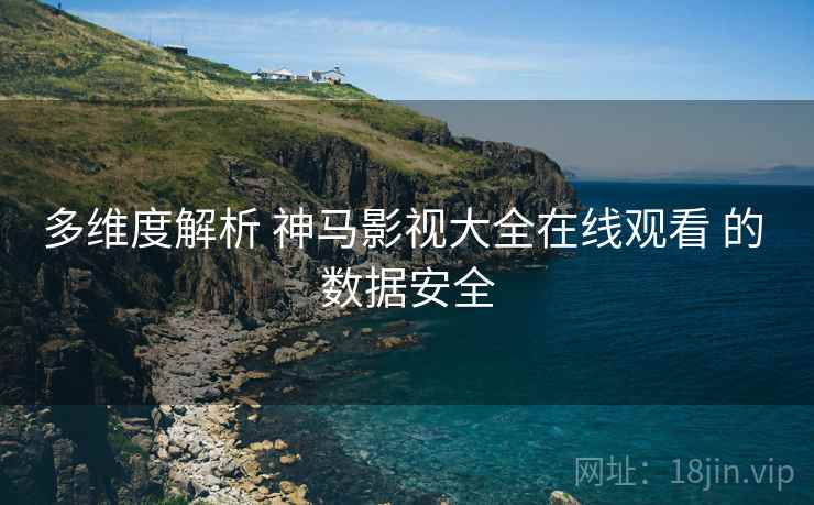 多维度解析 神马影视大全在线观看 的 数据安全