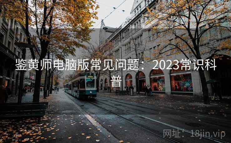 鉴黄师电脑版常见问题：2023常识科普
