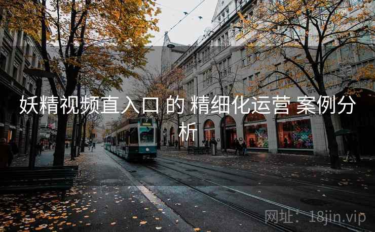 妖精视频直入口 的 精细化运营 案例分析 妖精视频直入口 的 精细化运营 案例分析